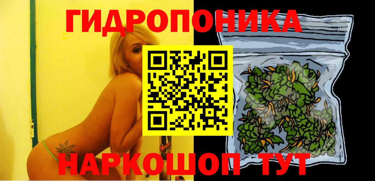 Тамбов  Бошки Шишки сатива  Марихуана ГИДРОПОН  Вход с VPN  Каннабис VHQ 